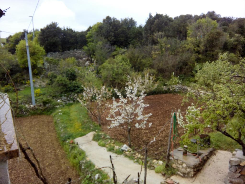 Loznati Casa vacanze Cres