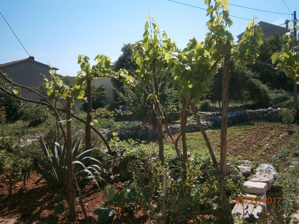 Loznati Casa vacanze